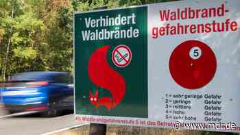 Sachsen erwartet für drei Landkreise und Dresden die Waldbrandstufe 5 - MDR
