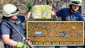 Waldbrände in Sächsischer Schweiz: Dresden Ultras danken Feuerwehr - BILD