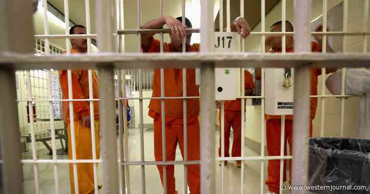 Liberal City So Desperate to Stop Crime Wave It Turns to Criminals for Advice