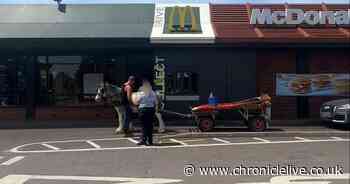 McDonald's turns away two men who arrived at drive-thru on horse and cart