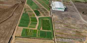 Cooperja apresenta potencialidades do agronegócio nas culturas de inverno em Jacinto Machado - ND Mais