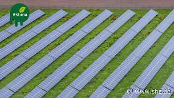 Erneuerbare Energien: Kaum geeignete freie Flächen für Solarparks in Tornesch - shz.de
