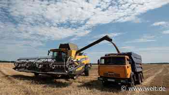 Getreide-Exporte aus der Ukraine laufen – doch auch Russland ist Profiteur