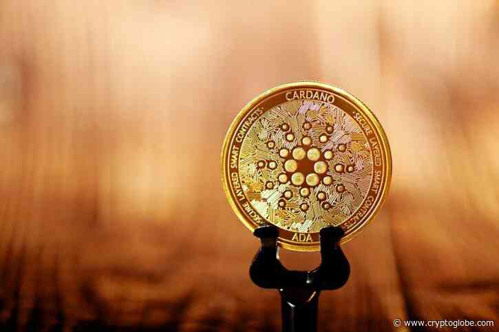 Cardano: 'ADA Whale' Explains Why 'Transaction Volumes' Are Going to 'Absolutely Explode' - CryptoGlobe