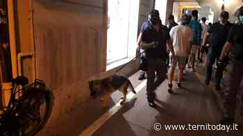 Movida, boom di multe: “La giunta Latini vuole fare cassa sulle spalle di chi ancora investe a Terni” - TerniToday