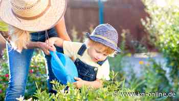 Wie Sie Ihre Kinder für das Gärtnern begeistern