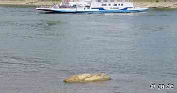 Hungerfelsen aufgetaucht: Niedriger Rheinpegel bei Remagen-Kripp zeigt Folgen - General-Anzeiger Bonn