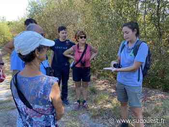 Pessac : dans les pas des guides naturalistes de la forêt du Bourgailh - Sud Ouest