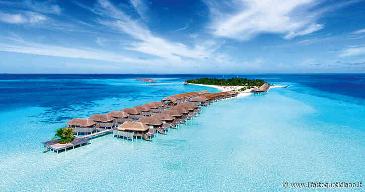Maldive, resort di lusso cerca un “libraio scalzo”: vivrà in una suite da 36mila euro a notte. Ecco quali sono i requisiti
