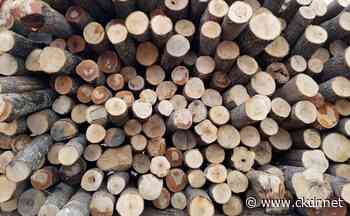 Ontario Calls For End To Softwood Lumber Duties - ckdr.net