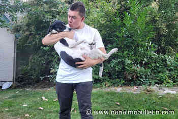 Ukrainian couple, daughter land in B.C. with hopes of building a ‘big, happy family’