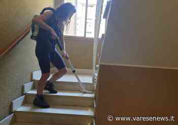 MP Giardini & Pulizia Condominiale cerca collaboratori per la sede di Luino - varesenews.it