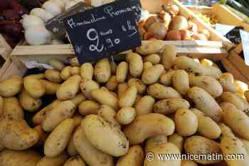 Allons-nous manquer de chips et de frites à cause de la sécheresse?