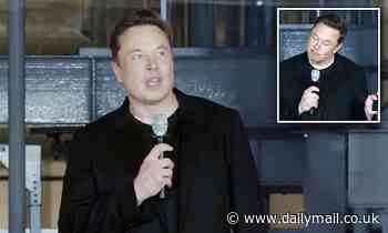 Elon Musk says Tesla will succeed even if he 'was kidnapped by aliens' - noting he has a great team