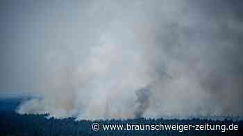 Munitionsschrott: Tickende Zeitbomben in Wäldern und Seen