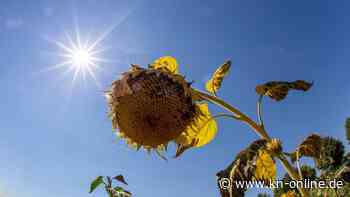 Extreme Hitze ist vorbei – Waldbrandgefahr bleibt