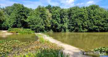 Waterstand visvijvers provinciedomein 't Veld zeer problematisch | Ardooie | hln.be - Het Laatste Nieuws