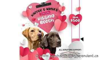 Pucker up: Baden Coffee Company organizes kissing booth and fundraiser - The New Hamburg Independent