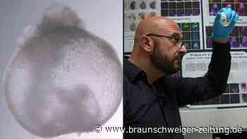 Embryos aus dem Labor - Frankenstein-Monster oder Hoffnungsträger?
