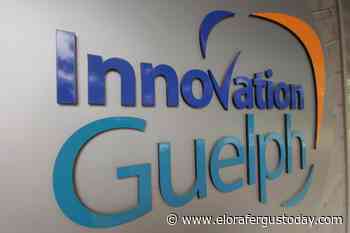 $30000 each for seven Guelph and Fergus green companies - EloraFergusToday