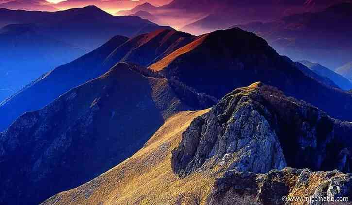 Sécheresse: comment préserver la biodiversité de nos montagnes?