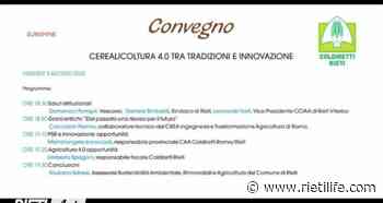 “Cerealicoltura 4.0 tra tradizioni e innovazione”: il convegno a Chiesa Nuova - Rieti Life