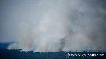 Feuer im Grunewald teilweise gelöscht – Boden misst Temperaturen bis 700 Grad