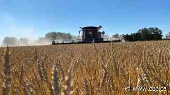 Sask. farmers, ag organizations question 'arbitrary target' to reduce fertilizer-related emissions by 30%