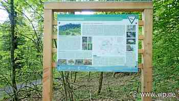 Neunkirchen: Zehn Personen müssen Badeausflug teuer bezahlen - WP News