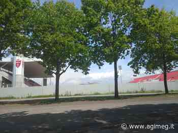 Scommesse calcio Coppa Italia: Monza e Hellas Verona favorite per Betaland - AGIMEG