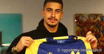 Terraciano non convince come vice Faraoni: Verona richiama De Paoli - TG Gialloblu