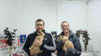 Kaninchenzüchter zeigen ihre Jungtiere den Rostockern