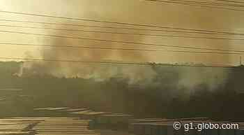 Incêndio atinge lixão no Distrito Industrial, em Manaus; VÍDEO - Globo