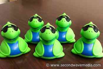 Pine River Turtle Race returns to St. Clair this weekend - Second Wave Media