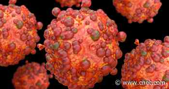 What to Do if You Get Monkeypox: Isolation, Treatment and More     - CNET