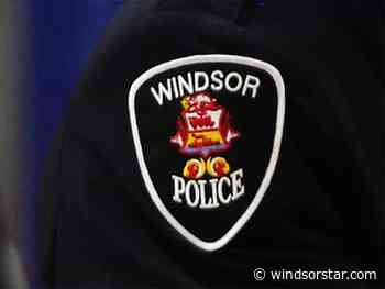 Windsor police rule out 'person of interest' in injured dog case