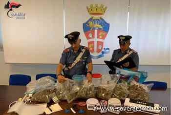 Sorpreso con 2 kg di marijuana in casa, 32enne arrestato - Soverato Web