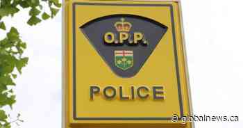 One charged with cruelty to animals: OPP - Global News
