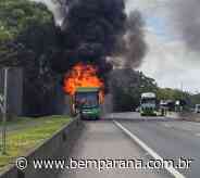 Ônibus da Catarinense pega fogo na BR-376, em Guaratuba - Bem Paraná