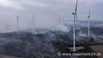 Analyse belegt: „Ära des Klimatodes“ ist angebrochen