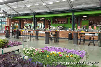 Viridea introduce la ristorazione anche nel punto vendita di Rho (Mi) | BricoMagazine - www.bricomagazine.com