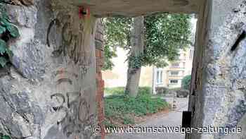 Historische Gittertür in Helmstedt ist plötzlich verschwunden - Braunschweiger Zeitung