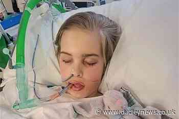 Timeline in the case of 12-year-old Archie Battersbee - Dudley News