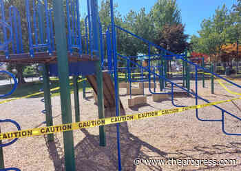 Playground equipment at Chilliwack school closed after kids land in emergency room - Chilliwack Progress