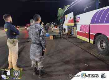 Em operação conjunta Polícia Militar prende homem por tráfico interestadual em Gurupi - Conexão Tocantins