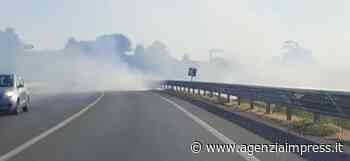 Principio di incendio a bordo strada alle porte di Empoli - Agenzia Impress