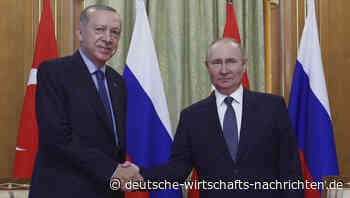 Worauf sich Putin und Erdogan in Sotschi geeinigt haben