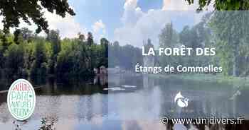 Orry-la-Ville, “La forêt des étangs de Comelles” Orry-la-Ville dimanche 24 juillet 2022 - Unidivers