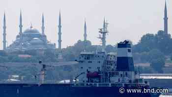 3 more ships with grain depart Ukraine ports under UN deal - Belleville News-Democrat