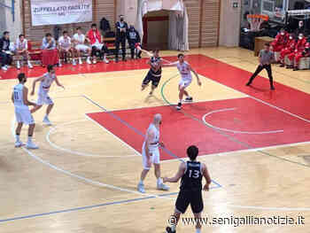 Calendari basket B: Senigallia, la prima in casa è contro Ancona - Senigallia Notizie